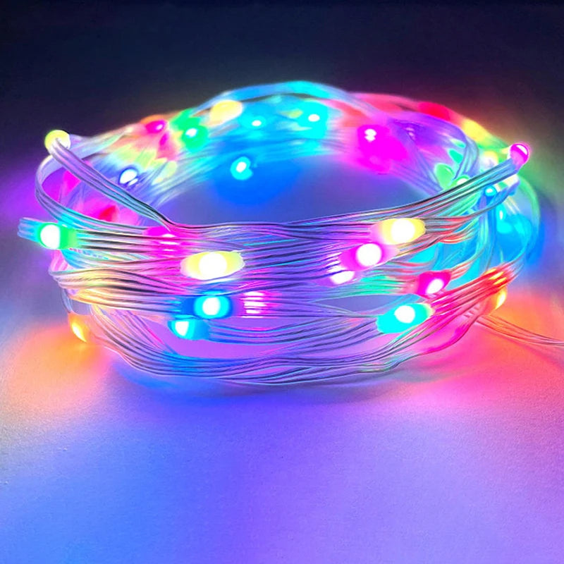 LED String Lights with Alexa Music Sync