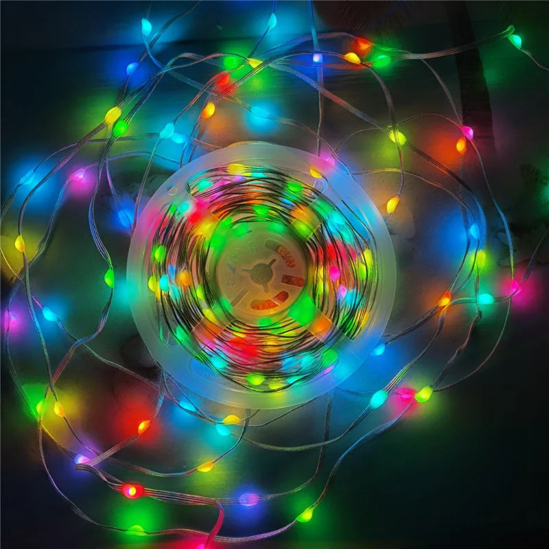 LED String Lights  with Alexa Music Sync