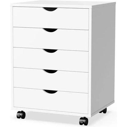 5 Drawer Rolling Chest